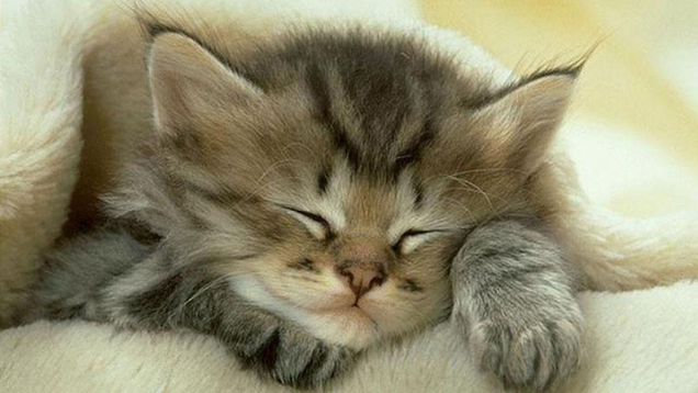 Via Cuteheaven.com